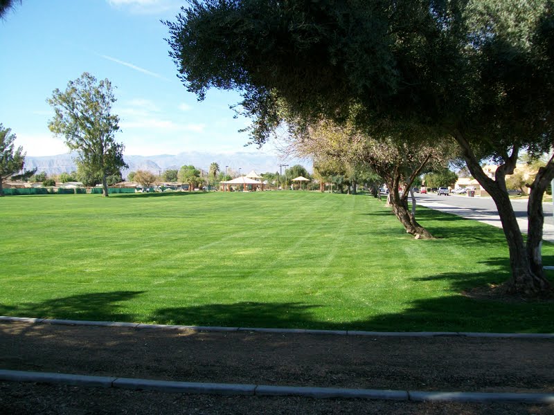 Maintained green landscape beneath mature trees