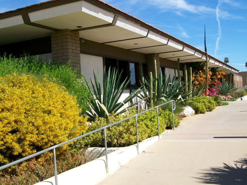 Commercial walkway with handrail, agave, flowering shrubs, and clean concrete
