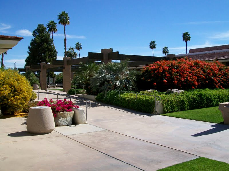 Landscaped commercial courtyard with palms, flowering shrubs, and clean walkways