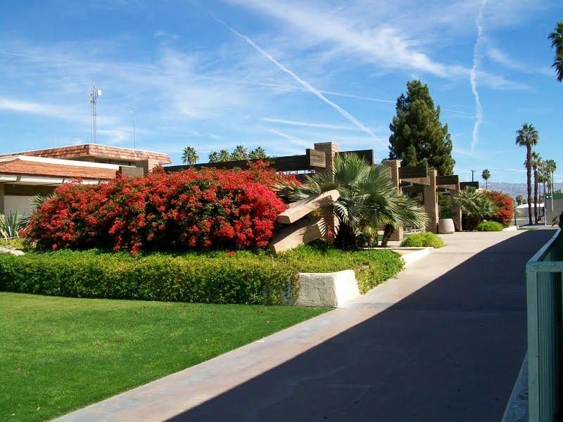 Commercial property walkway bordered by red flowering shrubs and green lawn