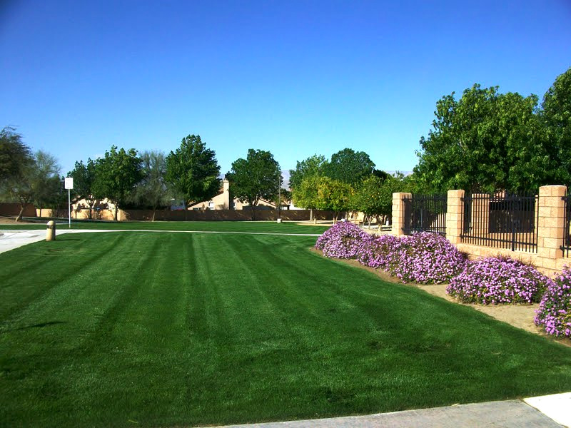 Striped green lawn with purple flowers along a decorative perimeter fence