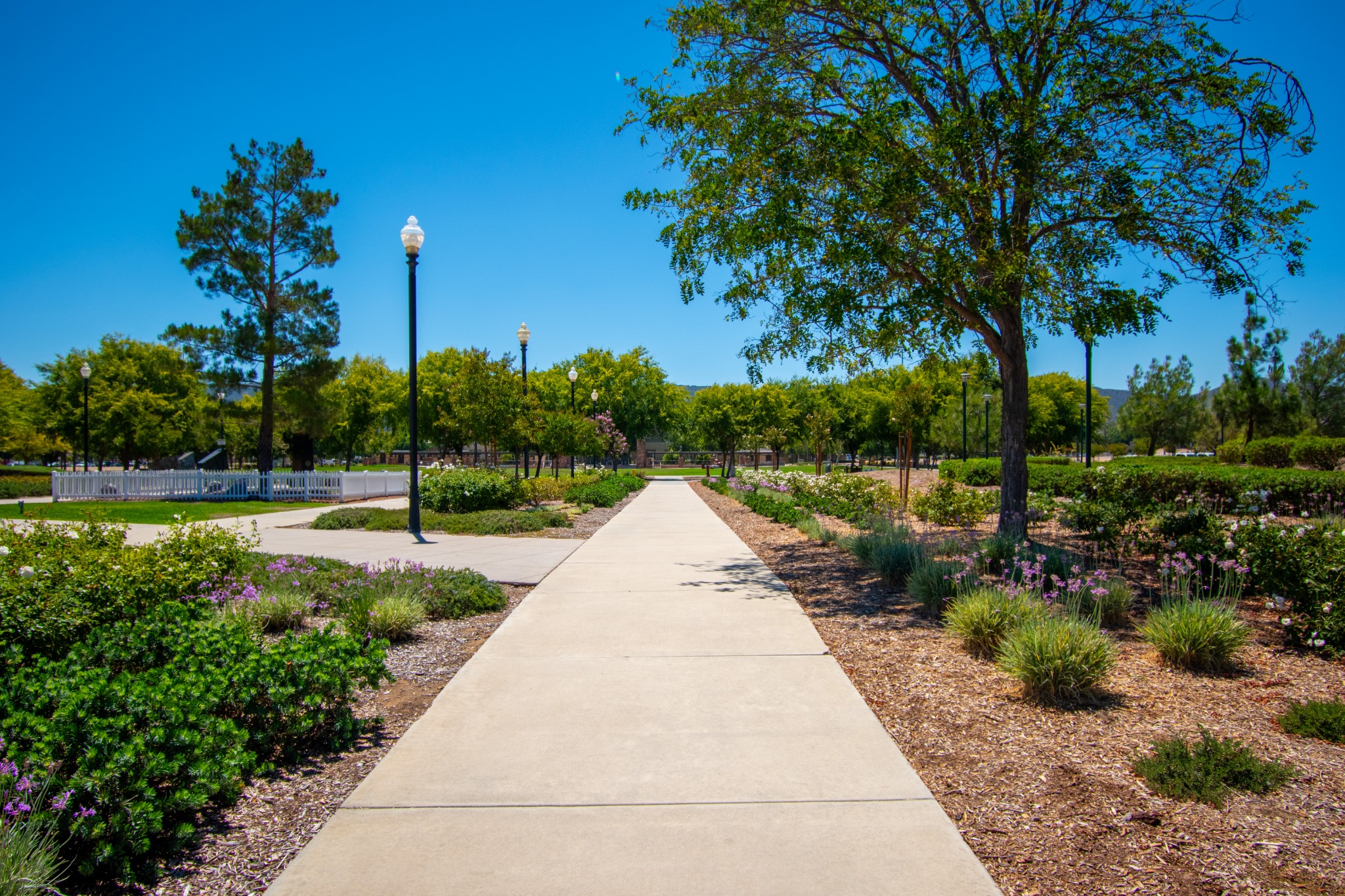 Landscaped public walkway with mature trees, lawn, flowers, and lamp posts