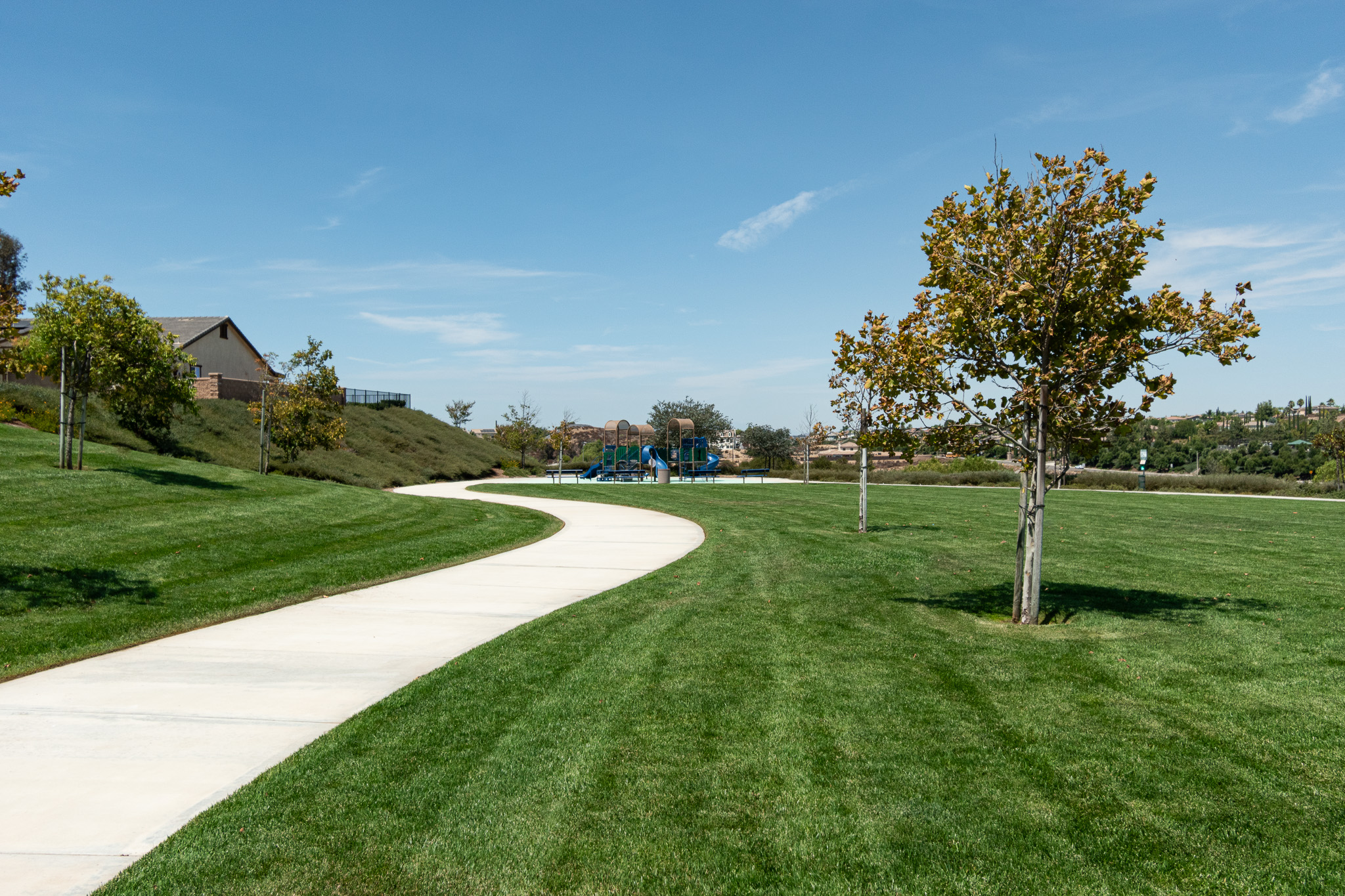 Well-kept green park lawn with a curving walkway and young trees