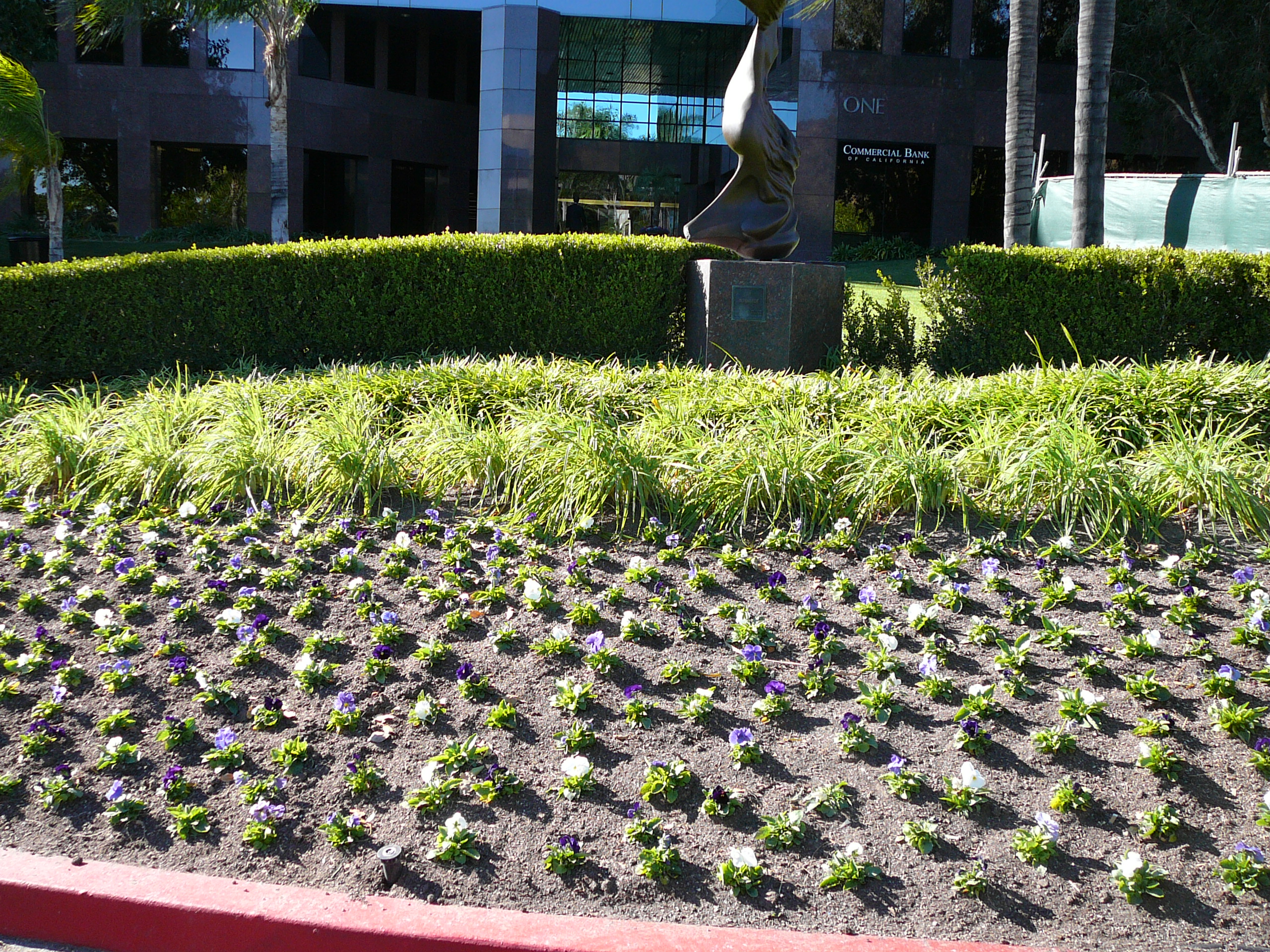 Colorful flowering shrubs beside a maintained community lawn