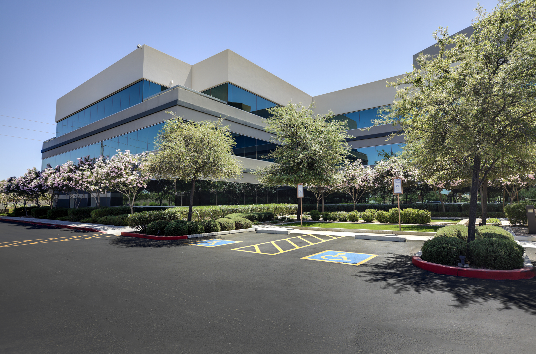 Maintained commercial courtyard with palms, turf, planting beds, and shaded walkways