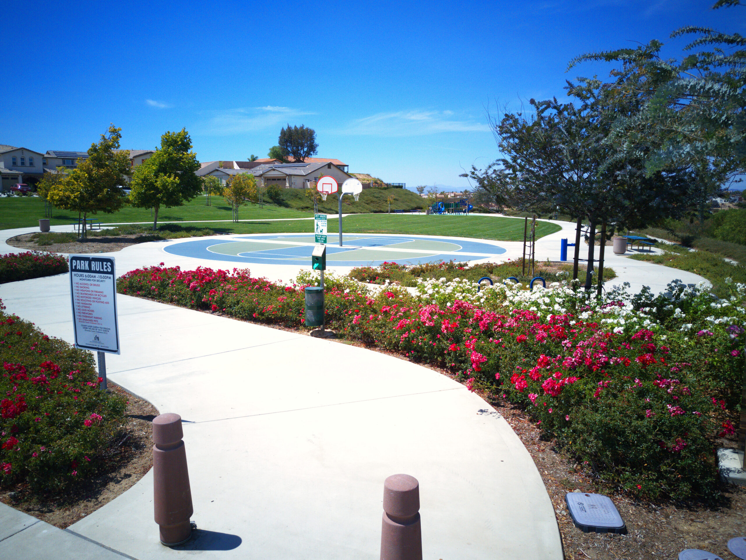 Maintained commercial courtyard with palms, turf, planting beds, and shaded walkways